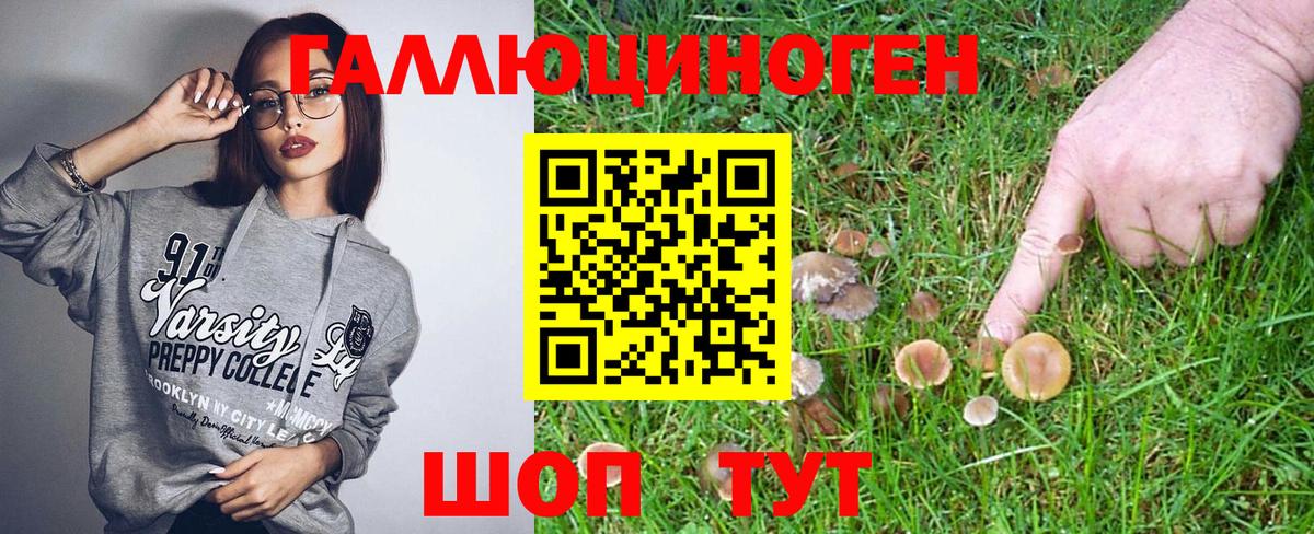 Благодарный  Псилоцибиновые грибы мицелий  Галлюциногенные грибы Cubensis  Вход с VPN 