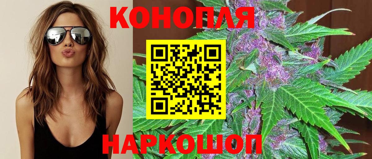 Шишки марихуана план Благодарный
